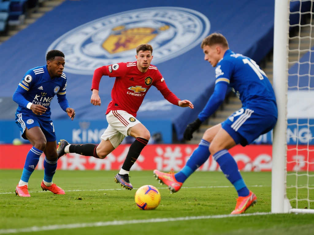 使得猛龙队 使得猛龙队